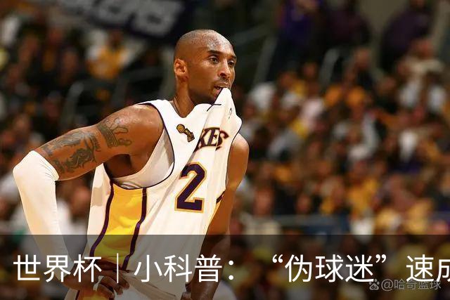 世界杯｜小科普：“伪球迷”速成手册